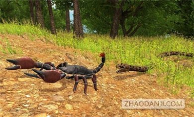 蝎子丛林模拟器