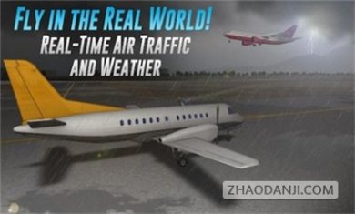 航空公司指挥官