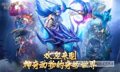 神奇动物在这里