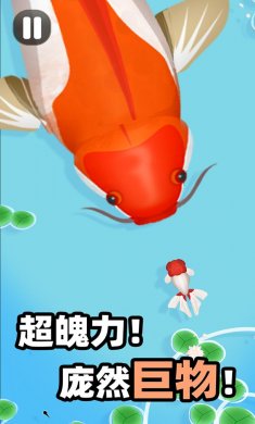 合成大锦鲤小游戏