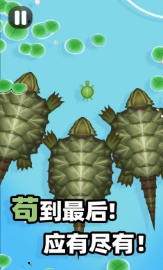 合成大锦鲤小游戏
