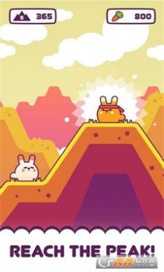 肥兔子