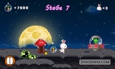 来自星星的兔子