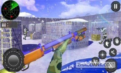 秘密突击队射击