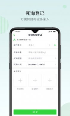 未来猪场