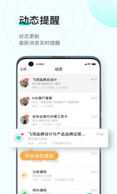 飞项