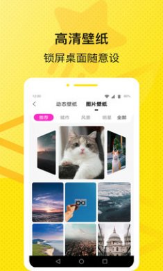 星星壁纸相机