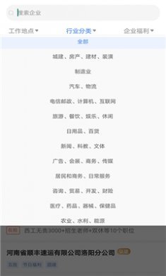 全洛阳直聘