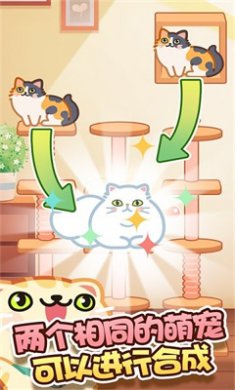 合成吧猫咪
